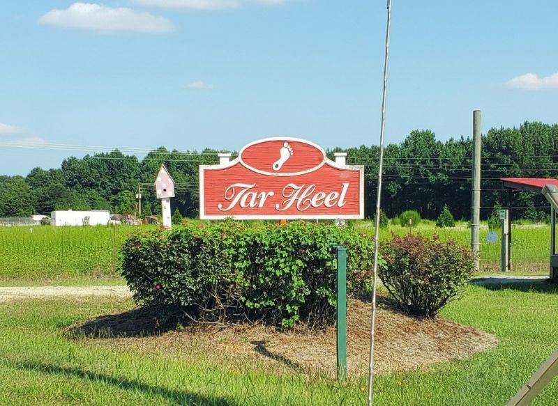 Best Siding Replacement pros in Hillsborough, NC